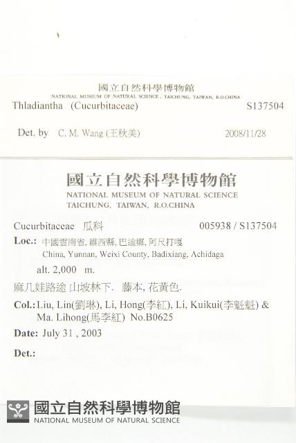 登錄號:S137504藏品圖，第2張