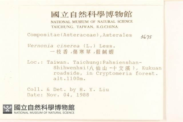 一枝香藏品圖，第2張