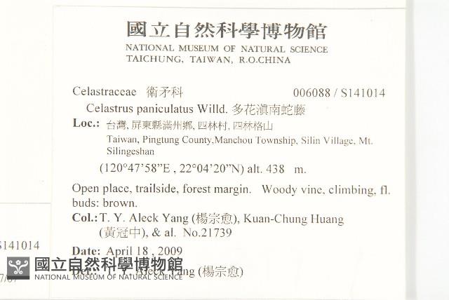 亨利氏伊立基藤藏品圖，第2張