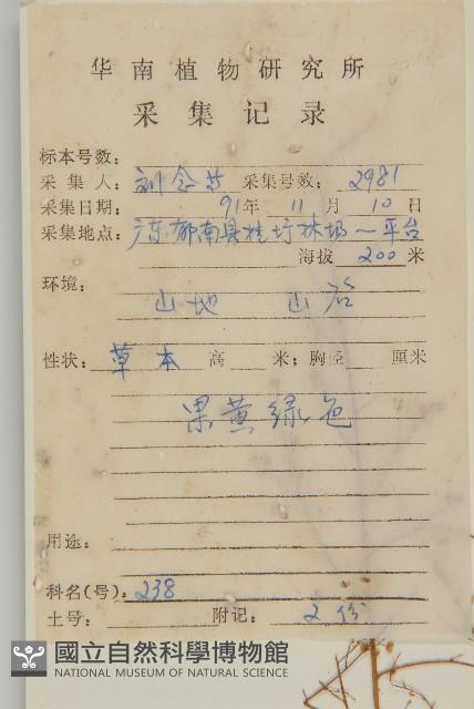 黃花蒿藏品圖，第2張