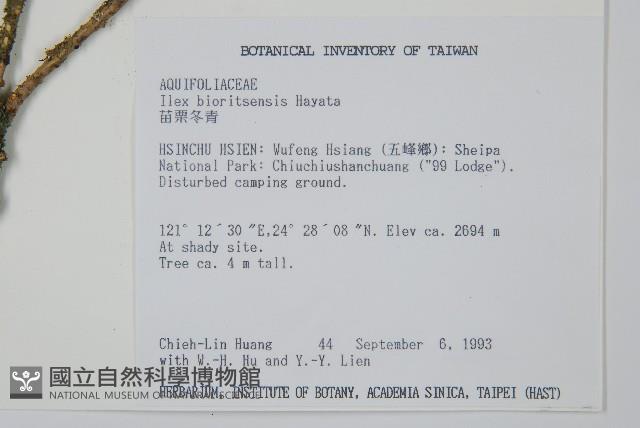 苗栗冬青藏品圖，第2張