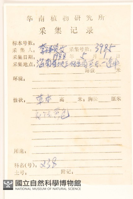 長柄菊藏品圖，第2張