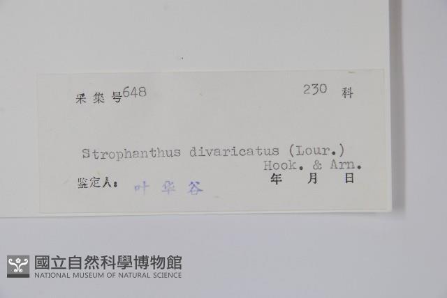 羊角扭藏品圖，第2張