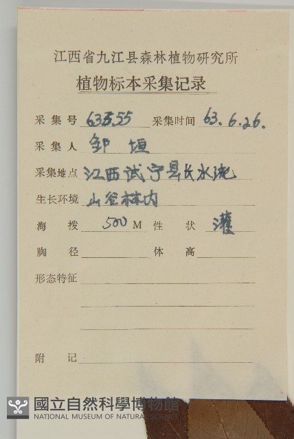 華東山柳藏品圖，第2張