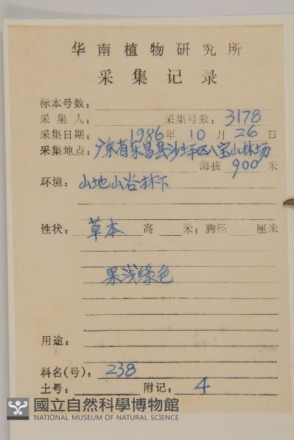 天名精藏品圖，第2張