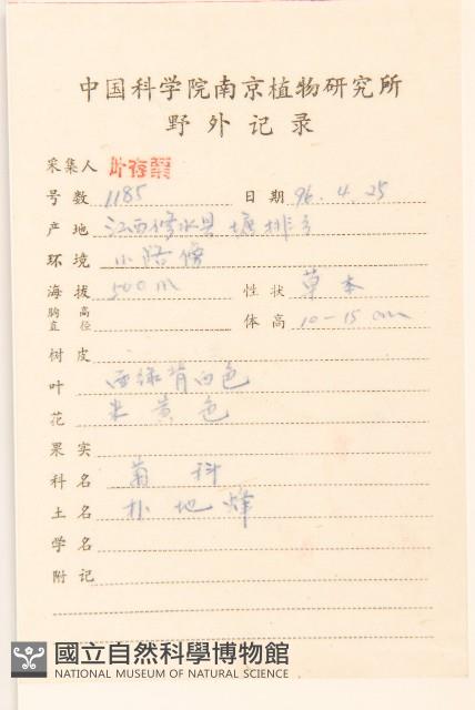 女貞藏品圖，第2張