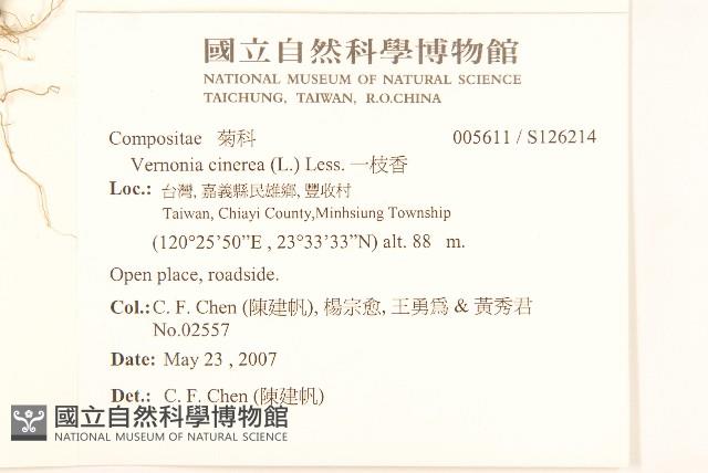 一枝香藏品圖，第2張