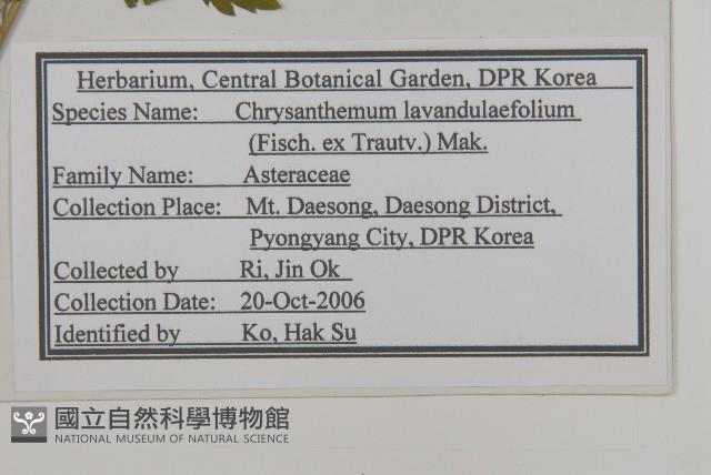 甘菊藏品圖，第2張