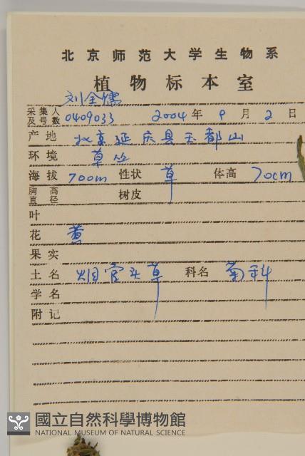 杓兒菜藏品圖，第2張