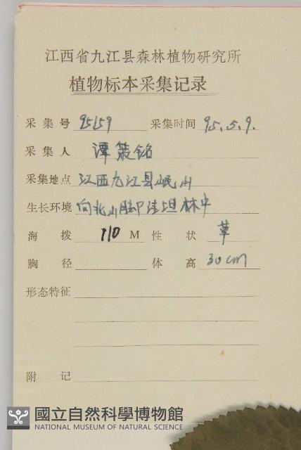 及己藏品圖，第2張