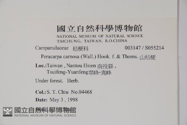 山桔梗藏品圖，第2張