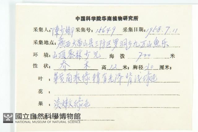 馬蹄參藏品圖，第2張