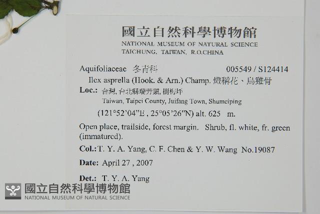 燈稱花、烏雞骨藏品圖，第2張