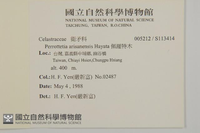 佩羅特木藏品圖，第2張