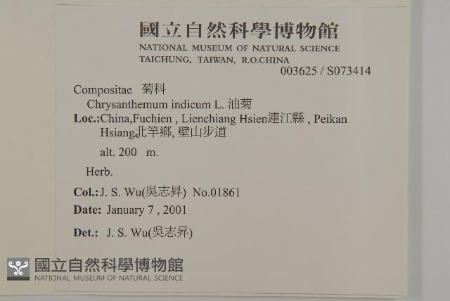 油菊藏品圖，第2張