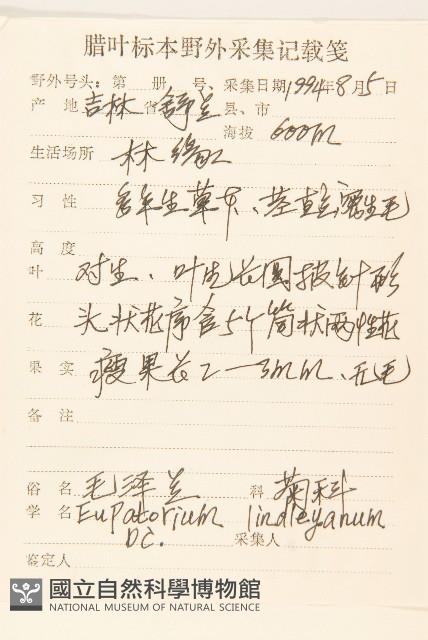 林氏澤蘭藏品圖，第2張