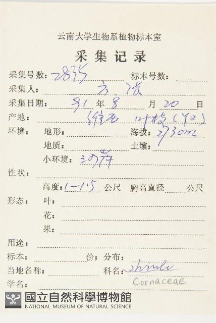 西藏青莢葉藏品圖，第2張