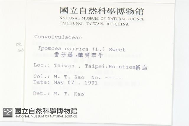 番仔藤藏品圖，第2張