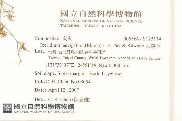 刀傷草藏品圖，第2張