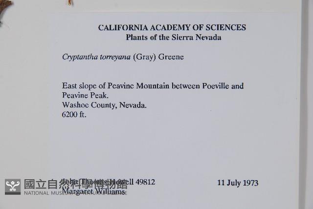 登錄號:S035114藏品圖，第2張