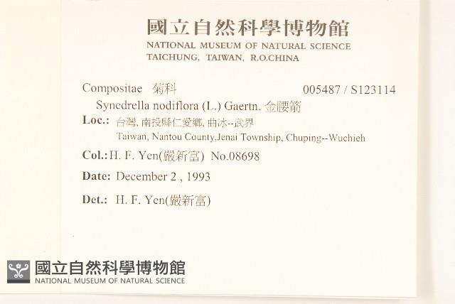 金腰箭藏品圖，第2張