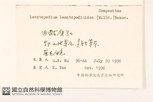 火絨草藏品圖，第2張