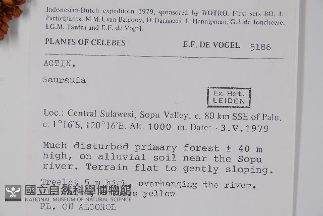 登錄號:S047114藏品圖，第2張