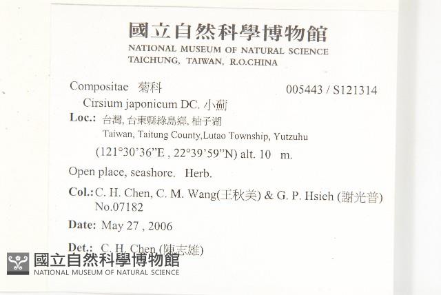 小薊藏品圖，第2張