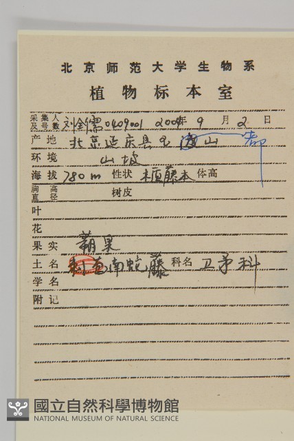 南蛇藤藏品圖，第2張