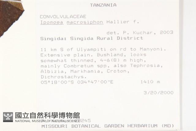 館號:S100814藏品圖，第2張