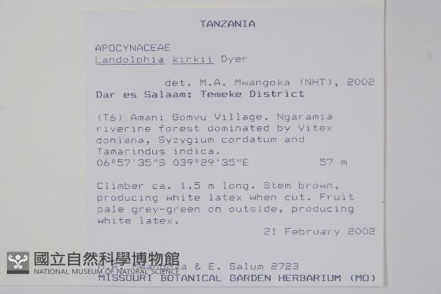 卷枝藤藏品圖，第2張