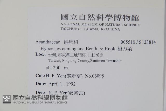 槍刀菜藏品圖，第2張