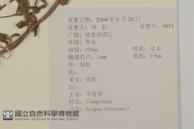 鱧腸藏品圖，第2張
