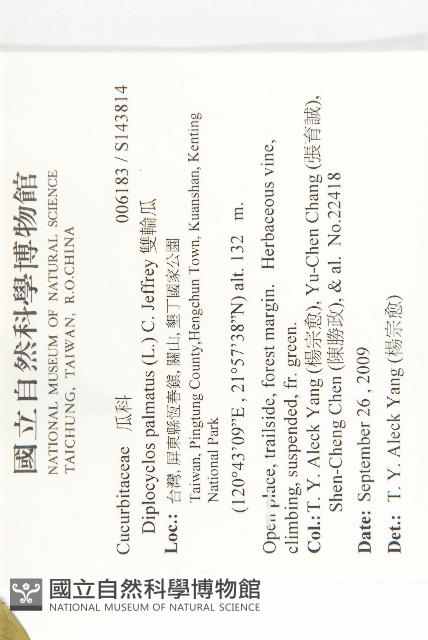 雙輪瓜藏品圖，第2張