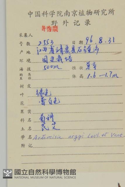 艾蒿藏品圖，第2張