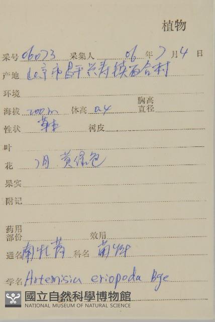 南牡蒿藏品圖，第2張