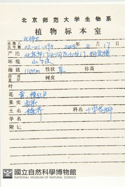 糖芥藏品圖，第2張