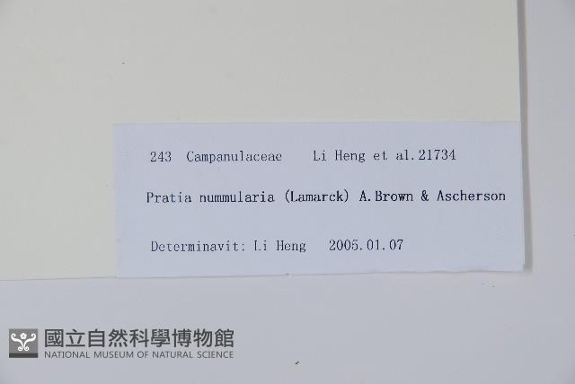 普剌特草藏品圖，第2張