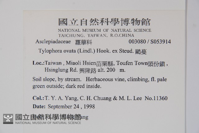 鷗蔓藏品圖，第2張