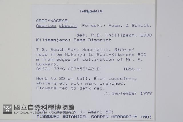 沙漠玫瑰藏品圖，第2張