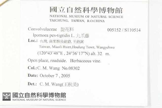 九爪藤藏品圖，第2張