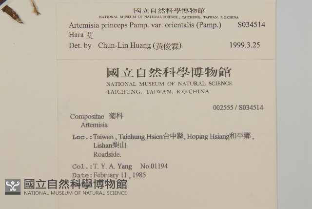中南蒿藏品圖，第2張