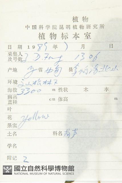 波稜瓜藏品圖，第2張