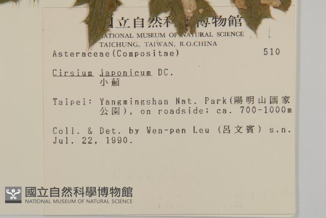 小薊藏品圖，第2張