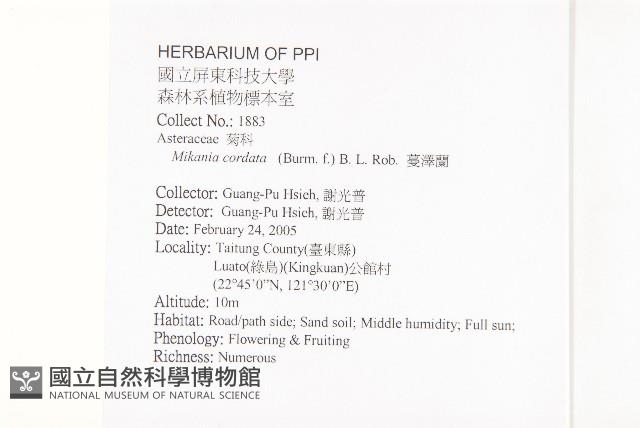 蔓澤蘭藏品圖，第2張