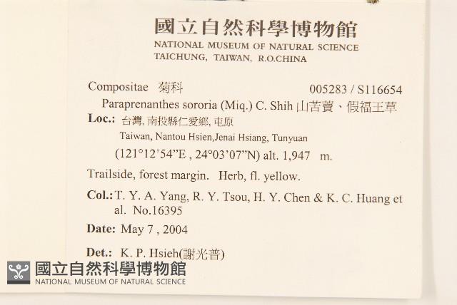 山苦藚、假福王草藏品圖，第2張