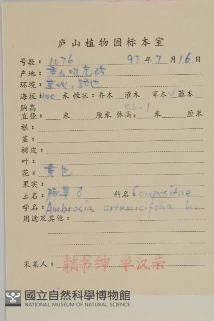 豬草、瘤果菊藏品圖，第2張