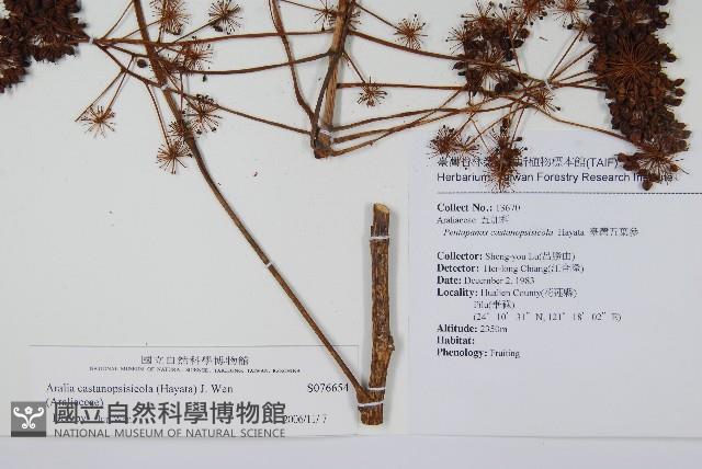 登錄號:S076654藏品圖，第2張