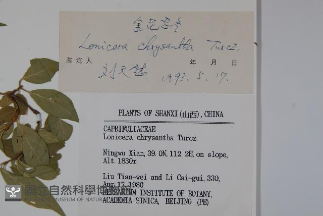 Accession Number:S035654 Collection Image, Figure 2, Total 2 Figures