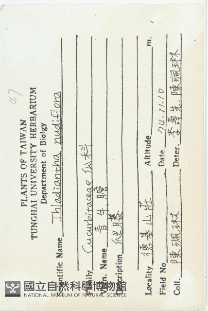 青牛膽藏品圖，第2張